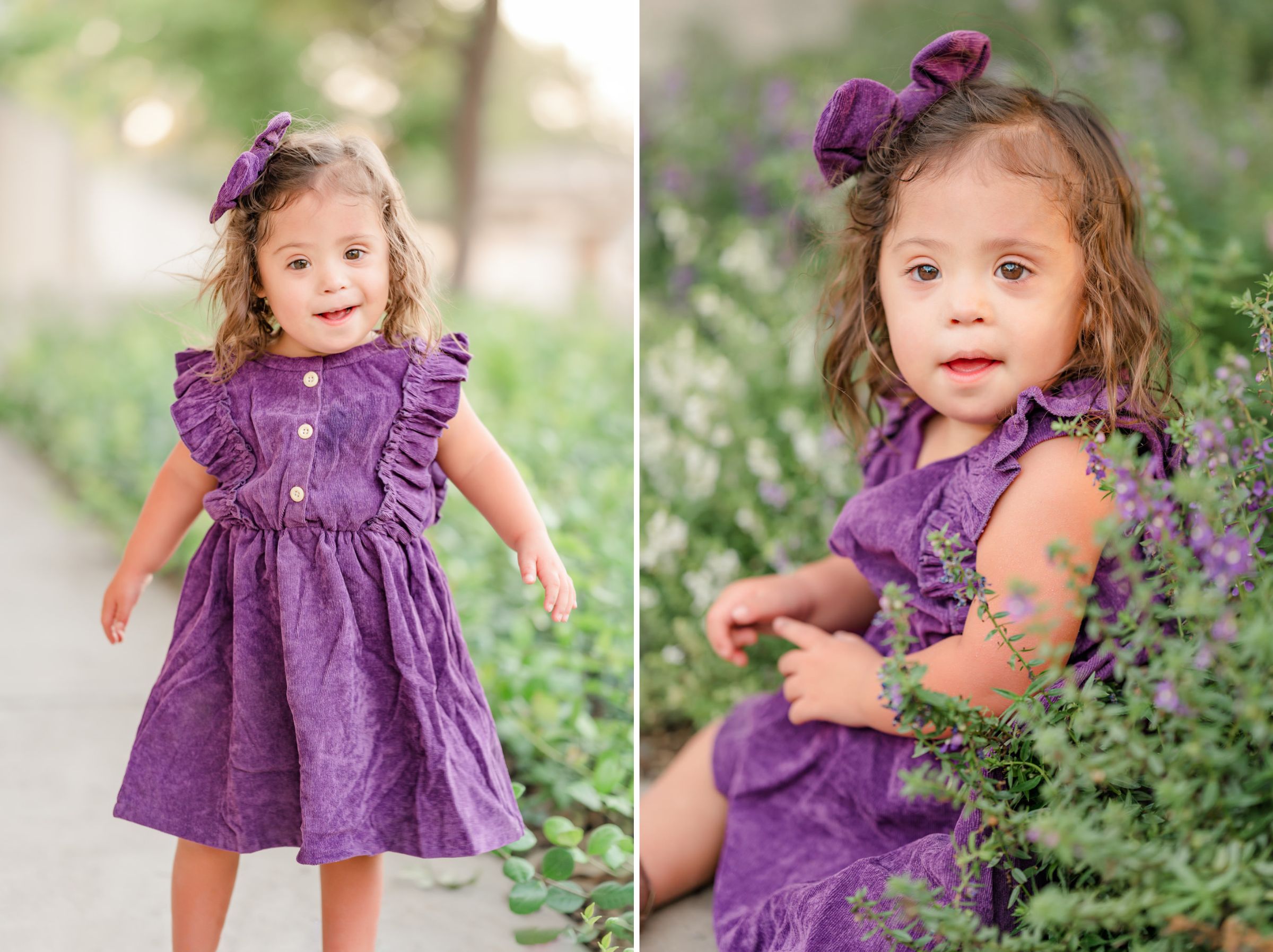 Side-by-side images of an adorable toddler girl in a purple dress. In one she sits among purple flowers that match her perfectly. Portraits by San Antonio special needs photographer Cassey Golden.